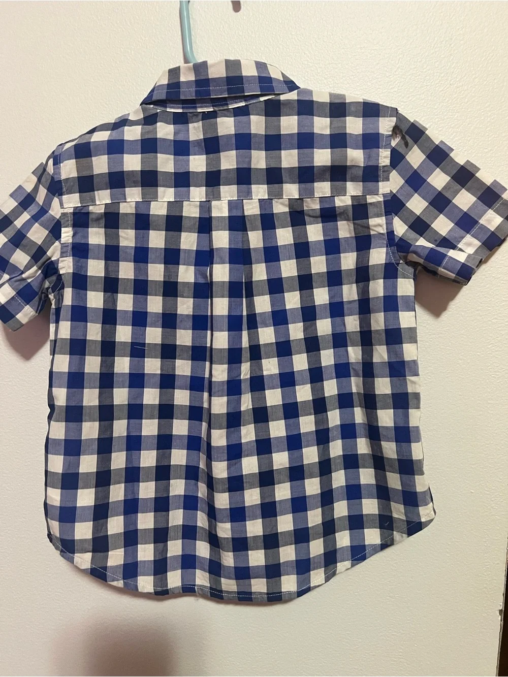 Ralph Lauren Blue and White Gingham Button-Down Shirt